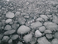 Patagonie 110